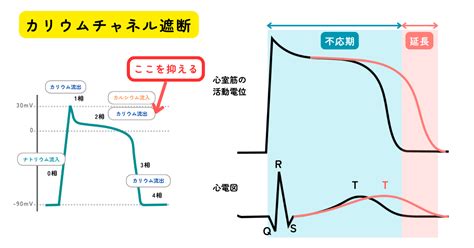 脈得順作用